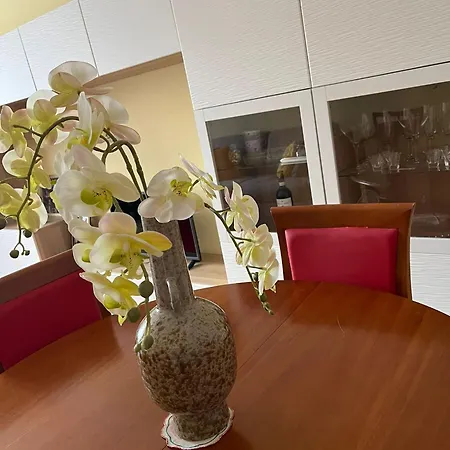 Apartment Bilocale: 5 Minuti Dall'ariston *